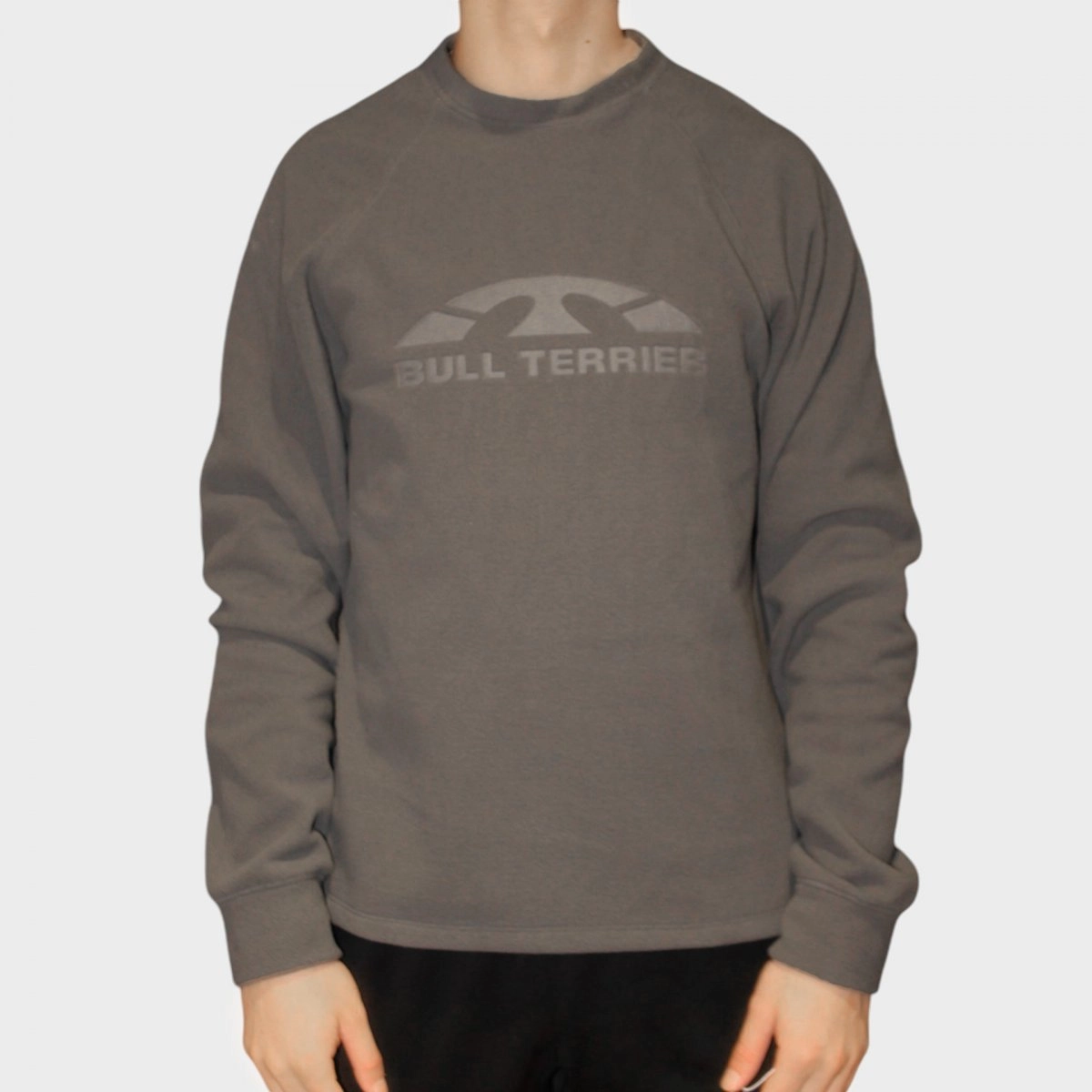 Moletom Bull Terrier Raglan - masculino - chumbo